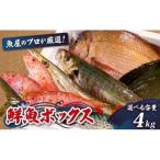 鮮魚 BOX 4kg