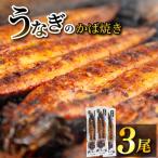 うなぎ 蒲焼 3尾