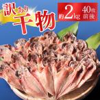 干物 訳あり アジの干物セット 伊豆急物産