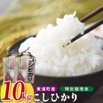 こしひかり 約10kg