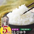 こしひかり 約5kg