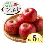 サンふじ りんご 約5kg