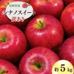 シナノスイート りんご 約5kg