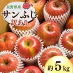 サンふじ りんご 約5kg