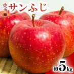 りんご 小玉サンふじ 約5kg
