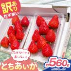 訳あり 粒不揃い とちあいか 560g
