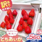 訳あり 粒不揃い とちあいか 560g