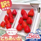 訳あり 粒不揃い とちあいか 560g