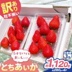 訳あり 粒不揃い とちあいか 1 120g