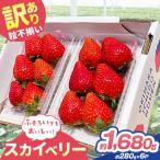 訳あり 粒不揃い スカイベリー 560g