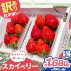 訳あり 粒不揃い スカイベリー 1 680g