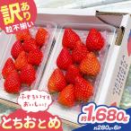 訳あり 粒不揃い とちおとめ 560g