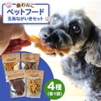 五島の恵みのペットフード ながいきセット