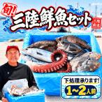 旬の鮮魚等 三陸の鮮魚セット 1人~2人用 冷蔵 魚種お任せ 水揚げ 新鮮 天然 魚 詰め合わせ