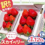 訳あり 粒不揃い スカイベリー 1 120g