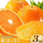 紅はっさく 約3kg
