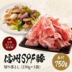 信州SPF豚 切り落とし 750g