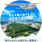 遊覧飛行 体験 セスナ機 世界遺産 古市古墳群