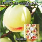 岡山白桃6玉 1玉250g以上