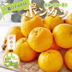 訳ありポンカン LLサイズ