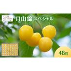 さくらんぼ 月山錦 スペシャル 48粒