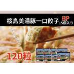 A1-0448 桜島美湯豚 ひと口餃子 8P 計120個