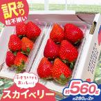訳あり 粒不揃い スカイベリー 560g