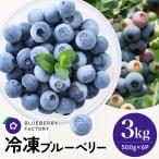 冷凍ブルーベリー 3kgパック 500g×6P
