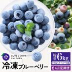 冷凍ブルーベリー 1kgパック A16-020