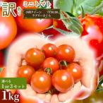 訳ありミニトマト 1kg 3セット