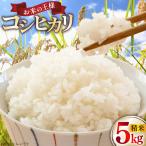 米 コシヒカリ 令和7年産 5kg