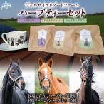 ハーブティーセット BRTV485