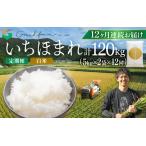 定期便 令和8年産 新米 いちほまれ 白米 10kg