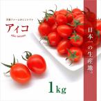 大家ファームのミニトマト アイコ 1kg