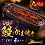 うなぎ割烹 和 なごみ 自慢の鰻のかば焼き 5尾