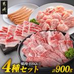 焼肉 BBQにオススメ 4種セット 宮崎牛