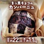自家製天然酵母を使ったまっ黒チョコのカンパーニュ