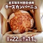 自家製天然酵母を使ったチーズカンパーニュ