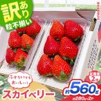 訳あり スカイベリー いちご 約 280g
