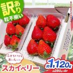 訳あり スカイベリー いちご 約 280g