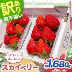 訳あり スカイベリー いちご 約 280g