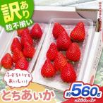 訳あり いちご とちあいか 約 280g