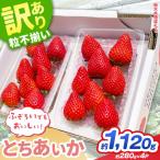 訳あり いちご とちあいか 約280g
