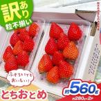 訳あり いちご とちおとめ 約 280g