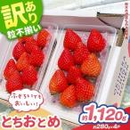 訳あり いちご とちおとめ 約 280g