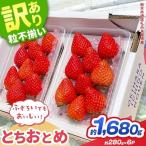 訳あり いちご とちおとめ 約 280g