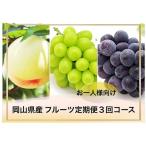 フルーツ定期便 桃 ぶどう お一人様向け