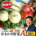 本土最南端から 旬のおまかせ野菜セットA