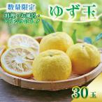 ゆず玉 料理にお酒にお風呂にどうぞ TR0018