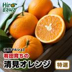 有田 育ちの特選 完熟 清見 オレンジ 3kg+200g